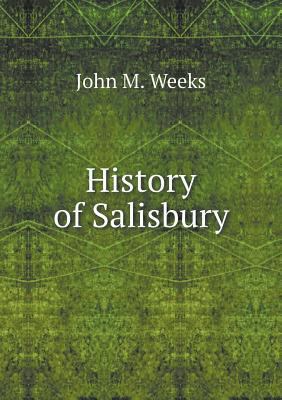 History of Salisbury 5518992823 Book Cover