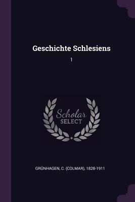 Geschichte Schlesiens: 1 1379044693 Book Cover