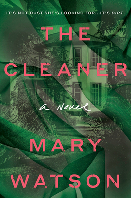 The Cleaner B0DDSCN2N1 Book Cover