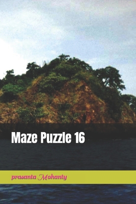 Maze Puzzle 16 B0BN43KD4J Book Cover