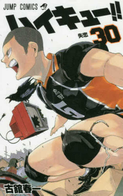 Haikyu!! 30 [Japanese] 4088813375 Book Cover