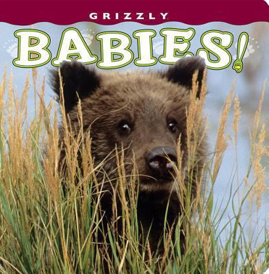 Grizzly Babies! 1560375469 Book Cover