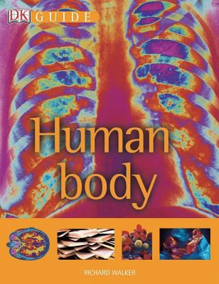 Human Body (Dk Guide) 0756622328 Book Cover