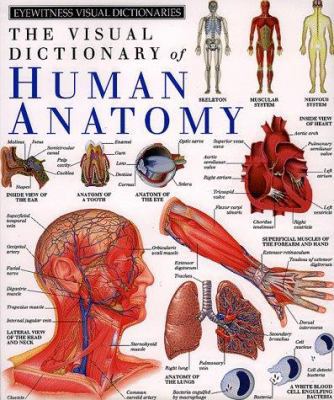 The Visual Dictionary of Human Anatomy (Eyewitn... 0789404451 Book Cover