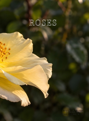 Roses: A Study in Bloom B0HK2BMFY5 Book Cover