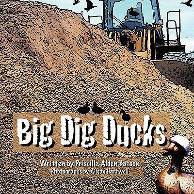 Big Dig Ducks 1438992491 Book Cover