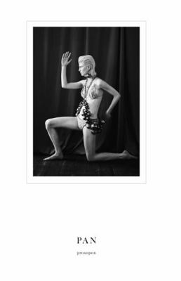 Paperback Pan & the Dream Issue Issue 6: Prosopon Book