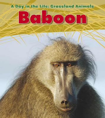 Baboon 1432947370 Book Cover