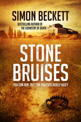 Stone Bruises: You Can Run, But Can You Ever Re... B00EKOC3JI Book Cover