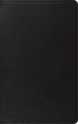 ESV Giant Print Value Personal Size Bible (Trut... B0FBR9B9SC Book Cover