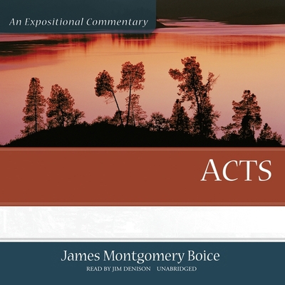 Acts Lib/E: An Expositional Commentary 166509057X Book Cover