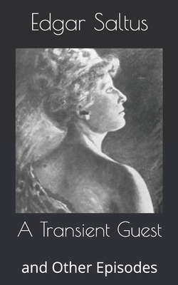 A Transient Guest: and Other Episodes B0863V36SP Book Cover