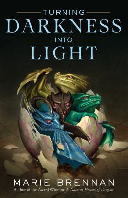 Turning Darkness Into Light 0765377616 Book Cover