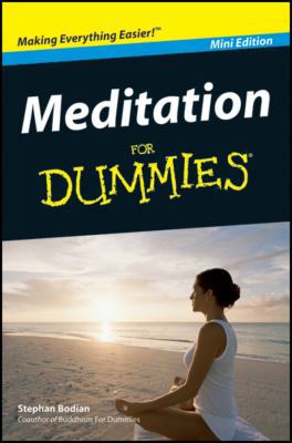 Meditation For Dummies (Mini Edition) 1118175123 Book Cover