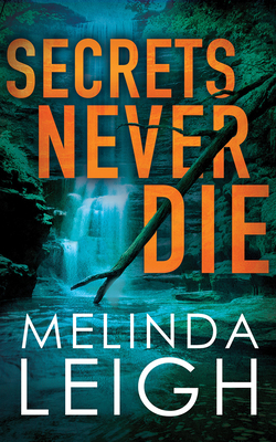Secrets Never Die 1978643810 Book Cover