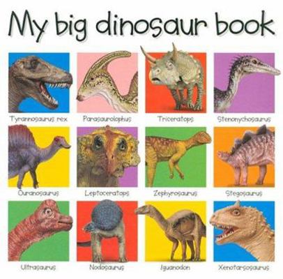 My Big Dinosaur Book 0312493282 Book Cover