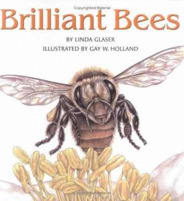 Brilliant Bees 0761326707 Book Cover