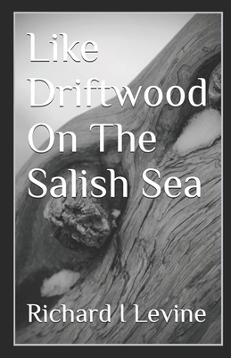 Like Driftwood On The Salish Sea: a small town ... B0FB98HVW4 Book Cover