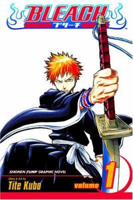 Bleach, Vol. 1 B003T6W6AY Book Cover