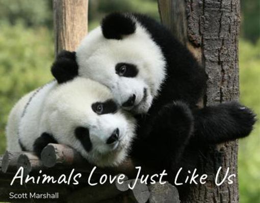 Animals Love Just Like Us 0999450638 Book Cover