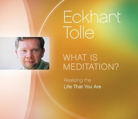 What Is Meditation?: Realizing the Life That Yo... 1894884825 Book Cover