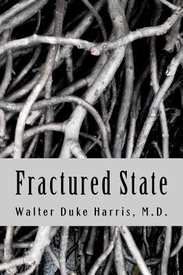 Fractured State 1469902796 Book Cover