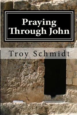 Praying Through John 1522957510 Book Cover
