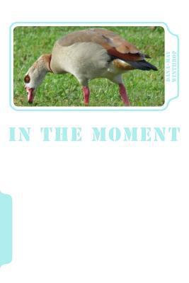In the Moment 1719261660 Book Cover