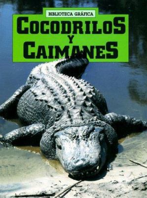 Cocodrilos y Caimanes = Crocodiles and Alligators [Spanish] 0531079198 Book Cover