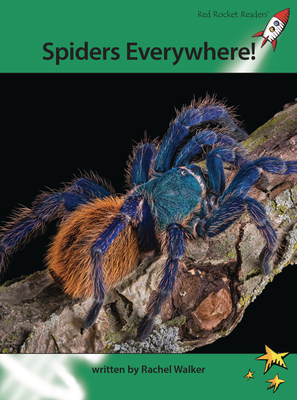 Spiders Everywhere! 187750677X Book Cover