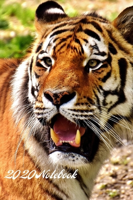 2020 Notebook: A5 (6 x 9 Inches) Notebook Journ... 1673905064 Book Cover