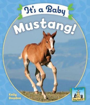 It's a Baby Mustang! 1604530278 Book Cover