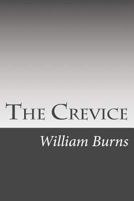 The Crevice 1502495678 Book Cover