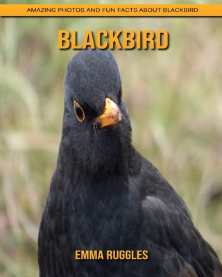 Paperback Blackbird: Amazing Photos and Fun Facts about Blackbird [Large Print] Book