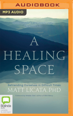 A Healing Space: Befriending Ourselves in Diffi... 1867507471 Book Cover