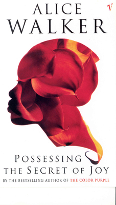 Possessing the Secret of Joy 0099224119 Book Cover