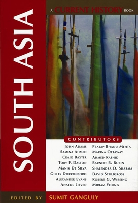 South Asia 0814731767 Book Cover