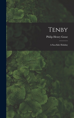 Tenby: A Sea-Side Holiday 1016051468 Book Cover