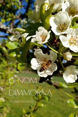 Genom dimmorna - Stor text [Swedish] 9198731556 Book Cover