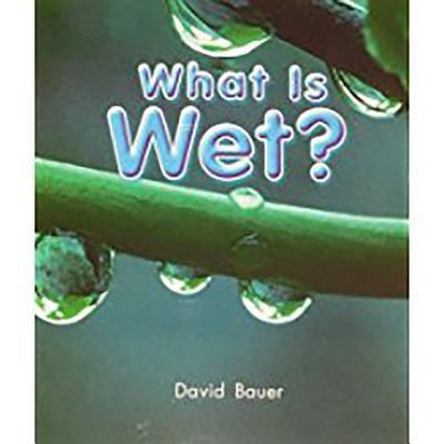 What Is Wet?: Leveled Reader Grade K 1418933368 Book Cover