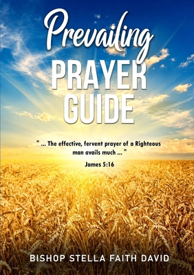 Prevailing Prayer Guide: Strategic Prayers for ... 106699353X Book Cover