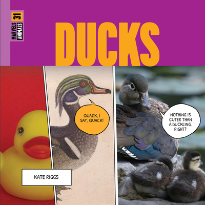 Ducks 168277709X Book Cover