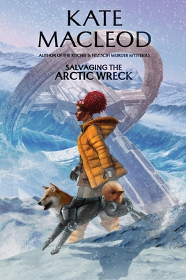 Salvaging the Arctic Wreck 1965167349 Book Cover