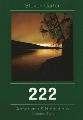 222: Aphorisms & Reflections, Volume 2 0761841407 Book Cover