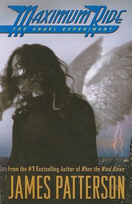 The Angel Experiment [Large Print] 1410415171 Book Cover