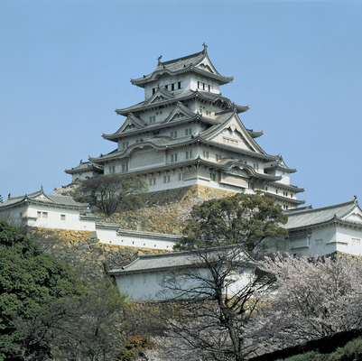 Himeji Castle Book Cover