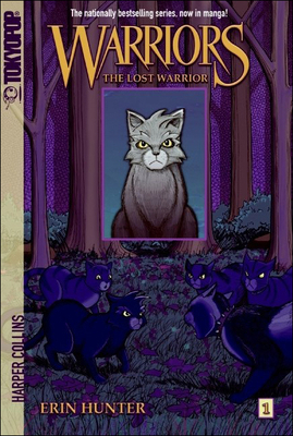 The Lost Warrior 1417775343 Book Cover