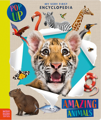 Amazing Animals 1806832917 Book Cover