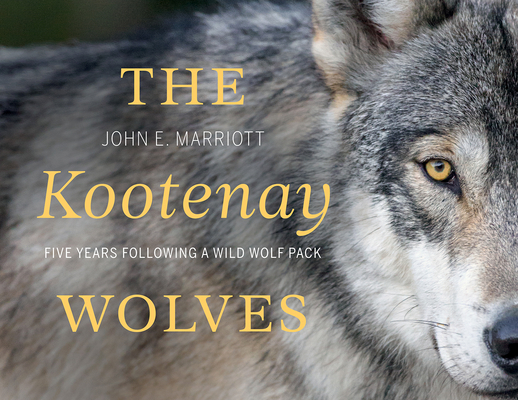 The Kootenay Wolves: Five Years Following a Wil... 1771604948 Book Cover