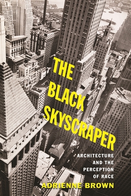 The Black Skyscraper: Architecture and the Perc... 1421423839 Book Cover